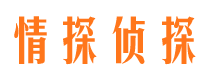 漳州市婚外情调查